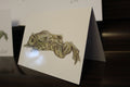 Lake Titicaca frog A6 Greeting Card