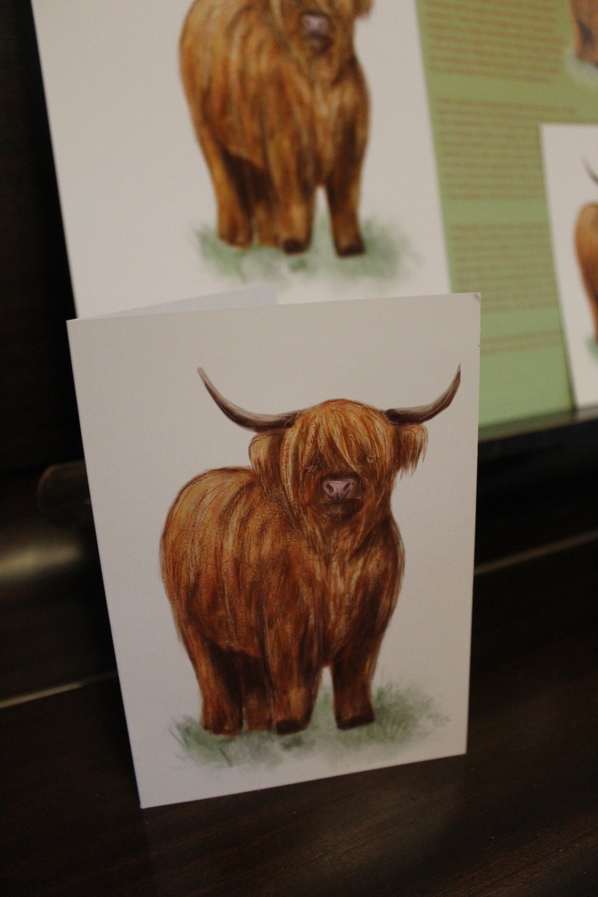 Highland Cow A6 Greeting Card