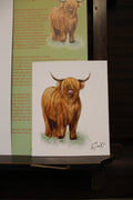 Highland Cow 12×15 cm Poster