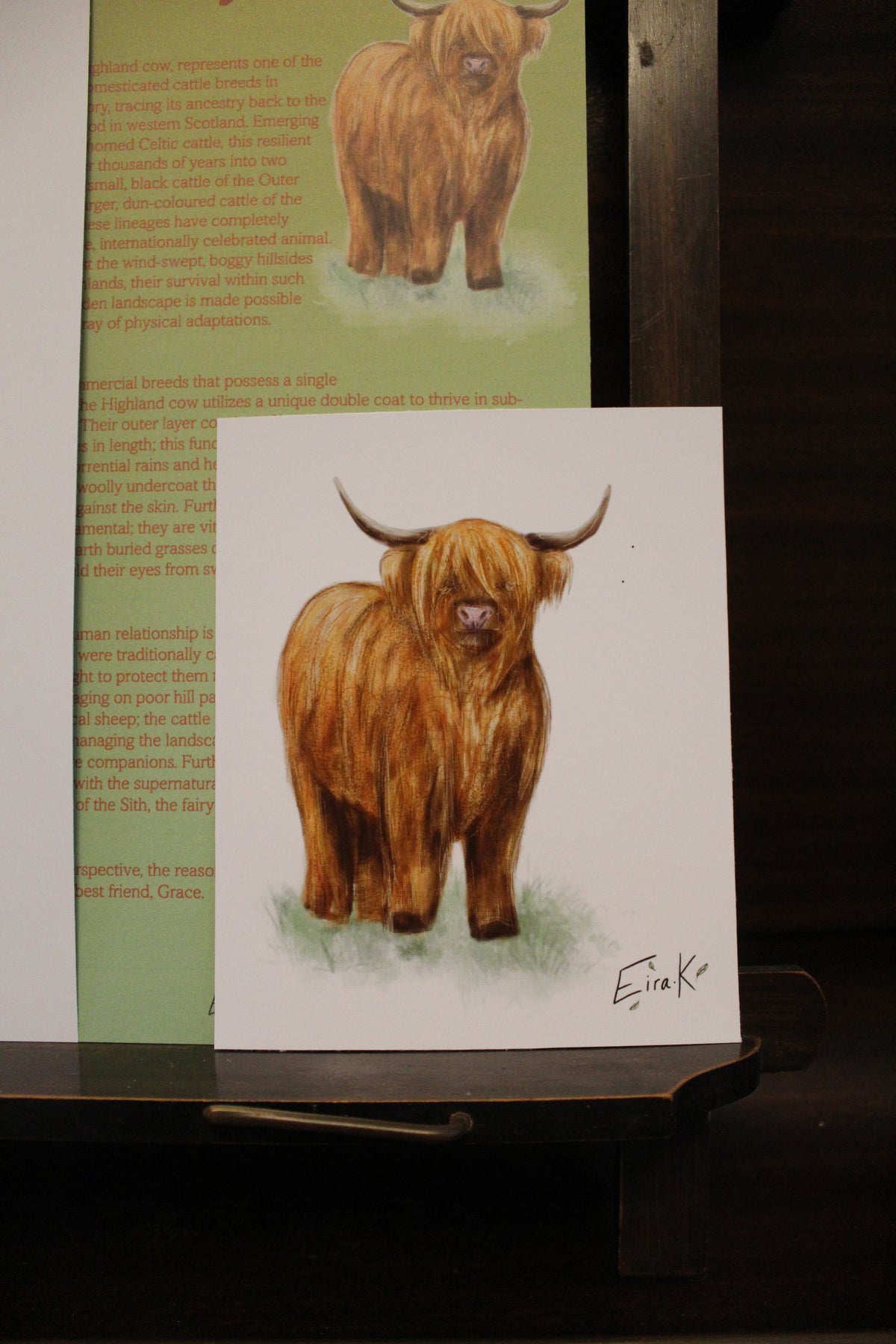 Highland Cow 12×15 cm Poster