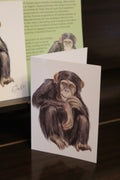 Common Chimpanzee A6 Greeting Card