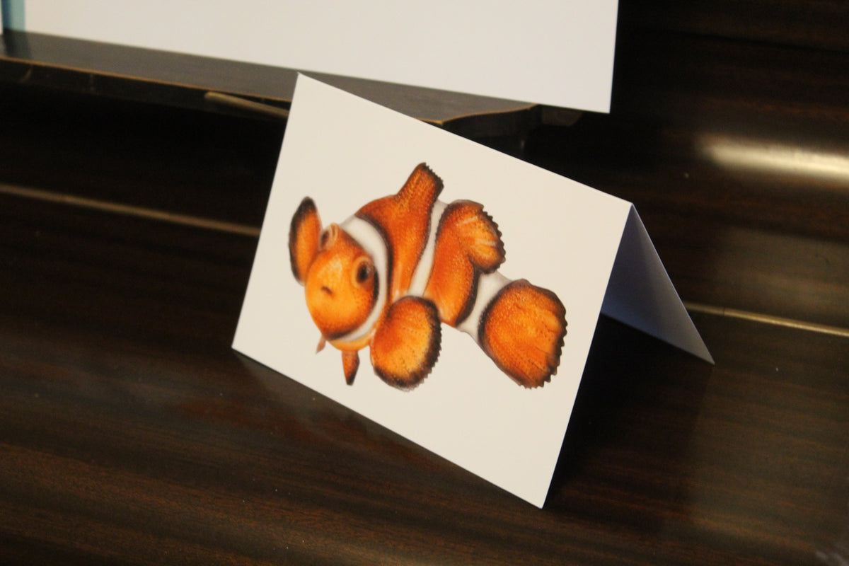 Ocellaris Clownfish A6 Greeting Card