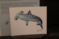 Great Hammerhead Shark 12×15 cm Poster