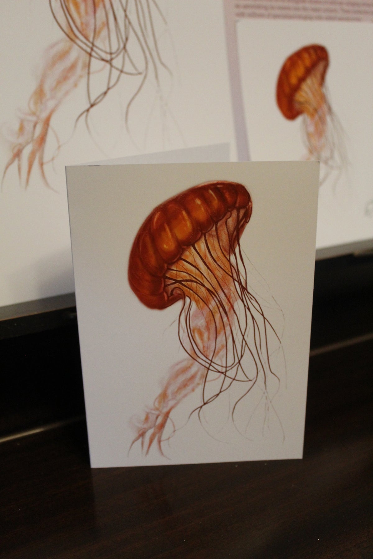 Black Sea Nettle Jellyfish A6 Greeting Card
