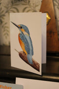 Common Kingfisher A6 Greeting Card