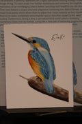 Common Kingfisher 12×15 cm Poster