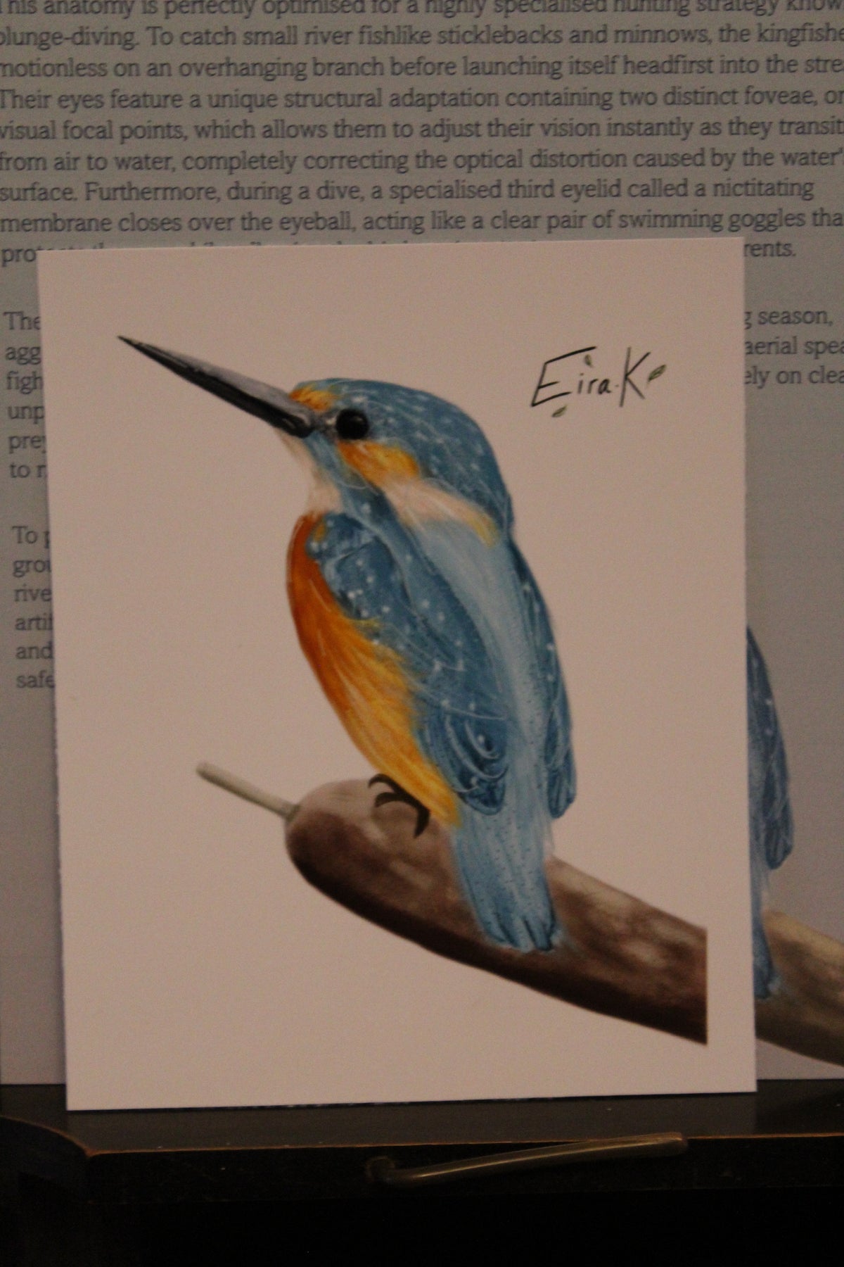 Common Kingfisher 12×15 cm Poster