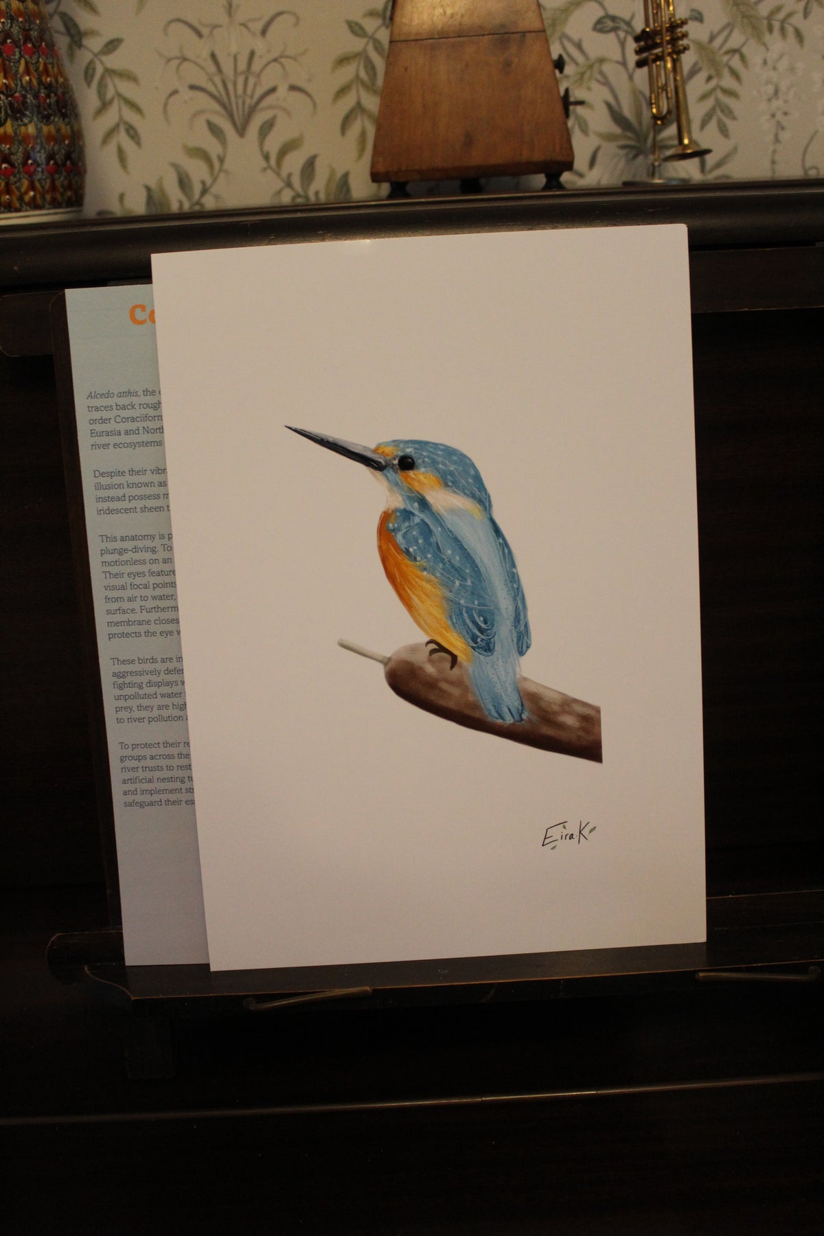 Common Kingfisher A4 Poster