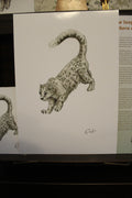 Snow Leopard A4 Poster