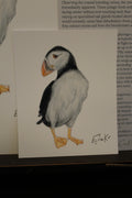 Atlantic Puffin 12×15 cm Poster