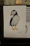 Atlantic Puffin A4 Poster