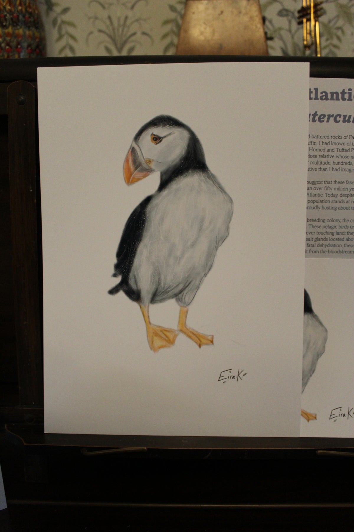 Atlantic Puffin A4 Poster