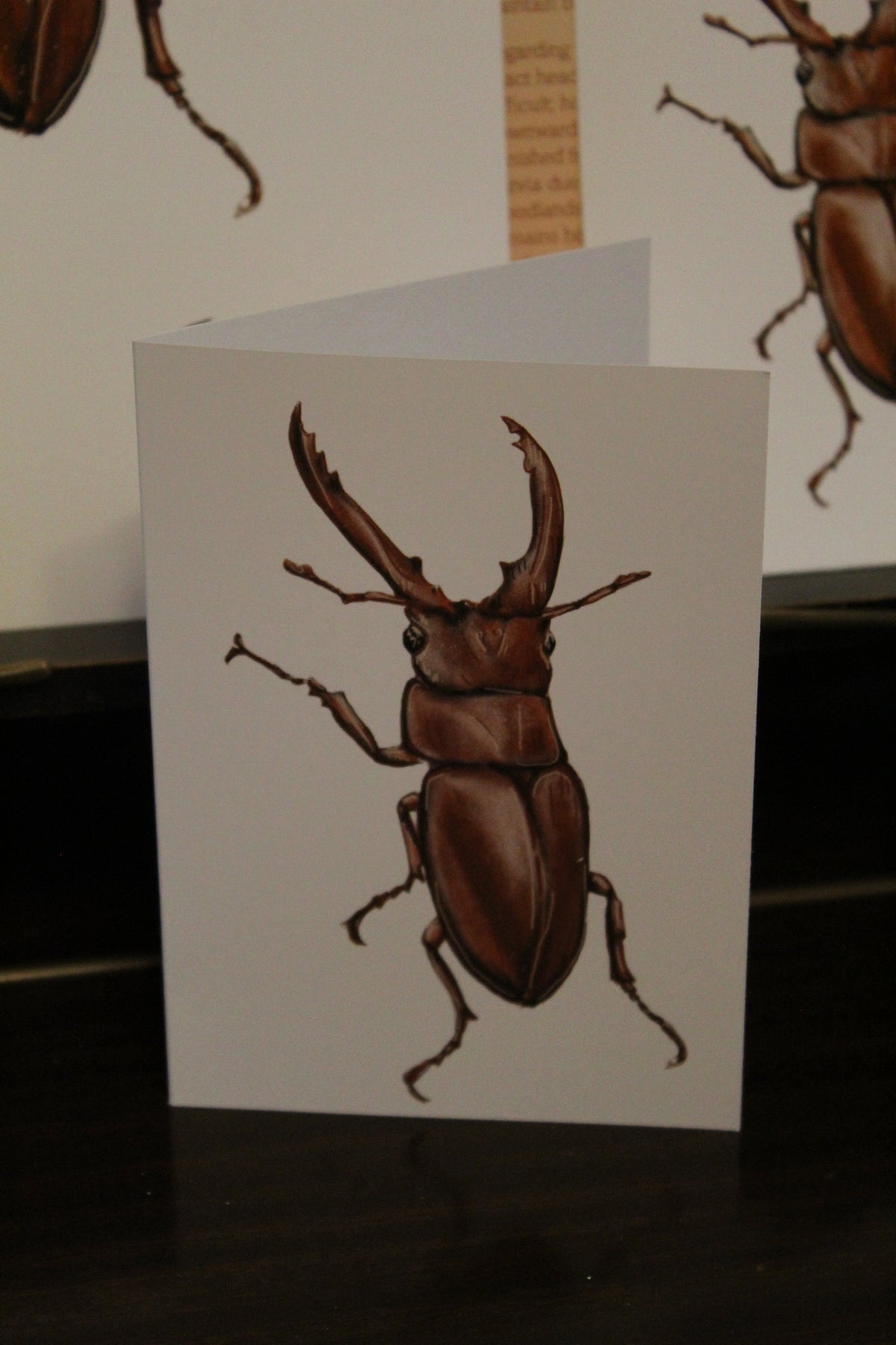 Europen Stag Beetle A6 Greeting Card