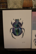 Spring Dor Beetle A4 Poster