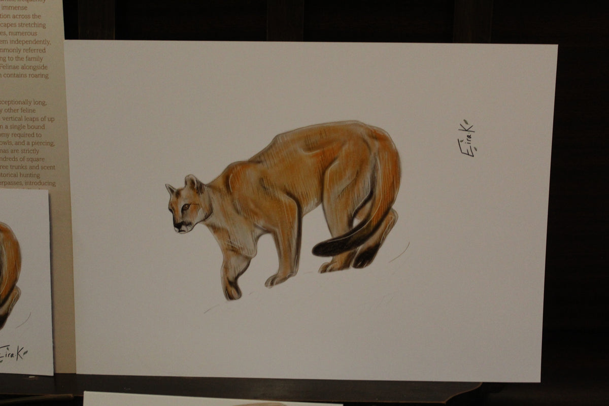Puma A4 Poster