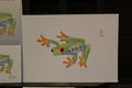 Red-eyed Tree Frog A4 Poster