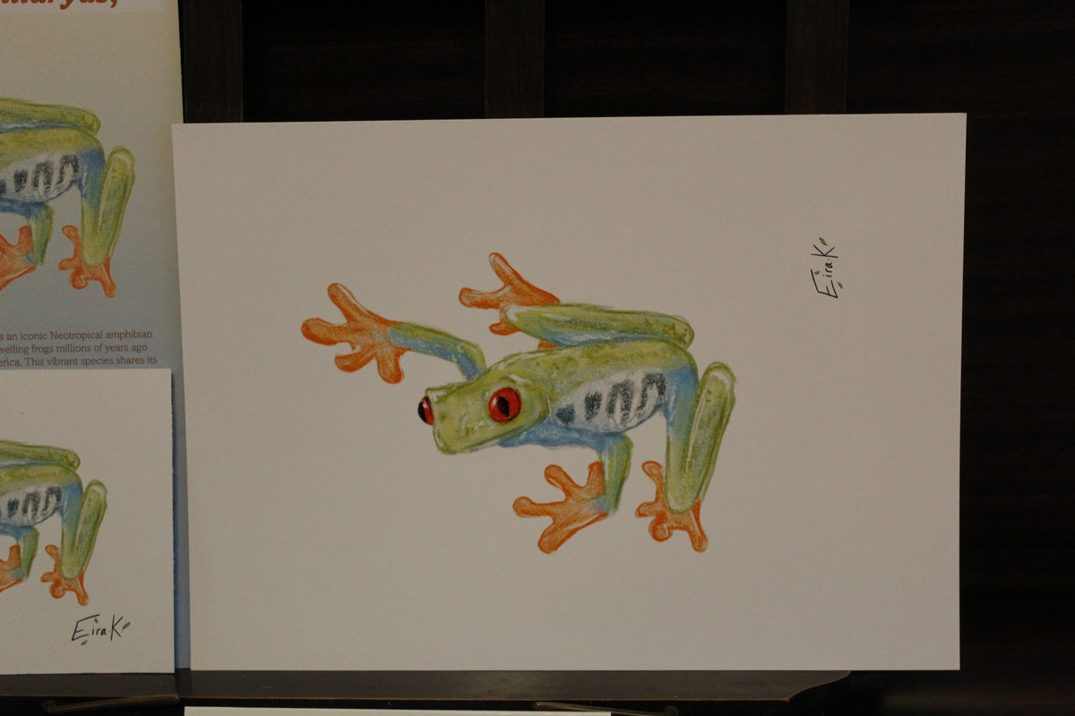 Red-eyed Tree Frog A4 Poster