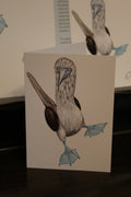Blue Footed Boobie A6 Greeting Card