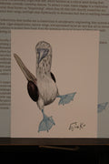Blue Footed Boobie 12×15 cm Poster