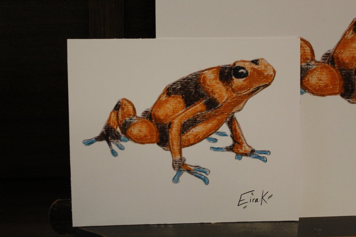 Lehmanns' Poison Dart Frog 12×15 cm Poster
