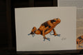 Lehmanns' Poison Dart Frog A4 Poster