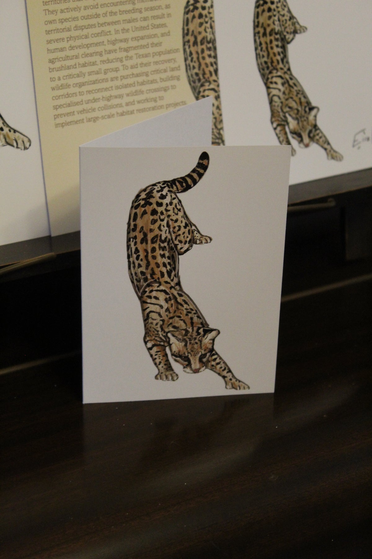 Ocelot A6 Greeting Card