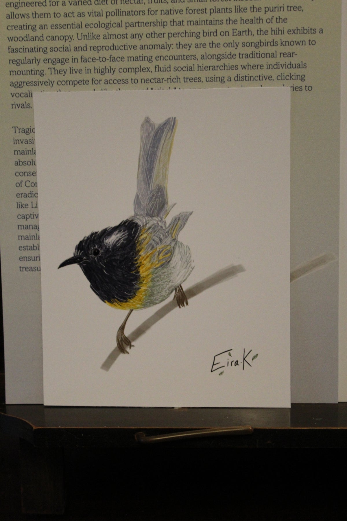Hihi 12×15 cm Poster