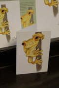 Hispaniolan Yellow Tree Frog A6 Greeting Card