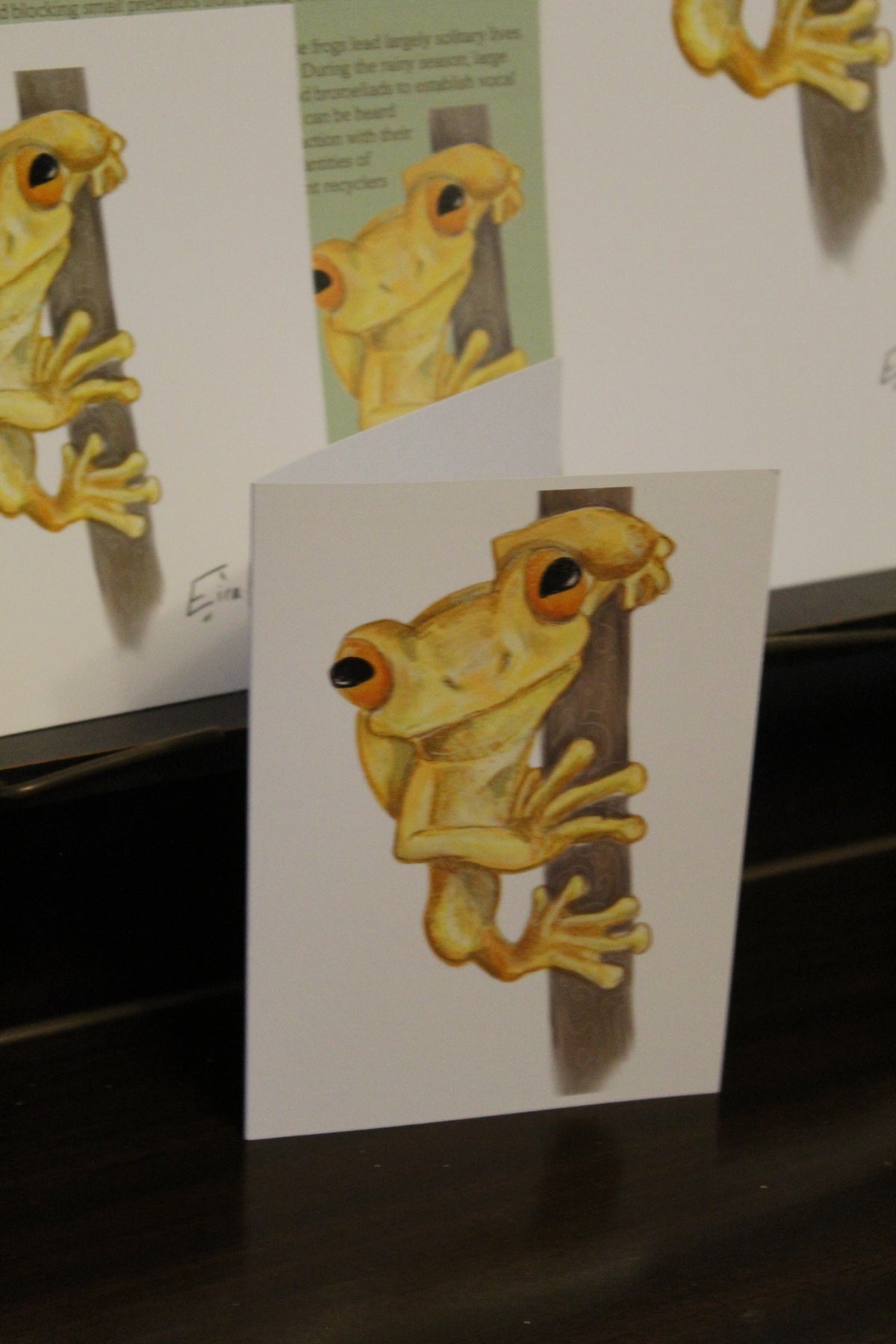 Hispaniolan Yellow Tree Frog A6 Greeting Card
