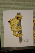 Hispaniolan Yellow Tree Frog 12×15 cm Poster