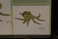 Blue ringed Octopus 12×15 cm Poster