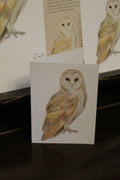 Barn Owl A6 Greeting Card