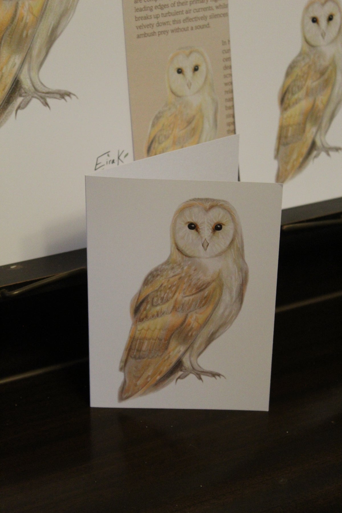 Barn Owl A6 Greeting Card
