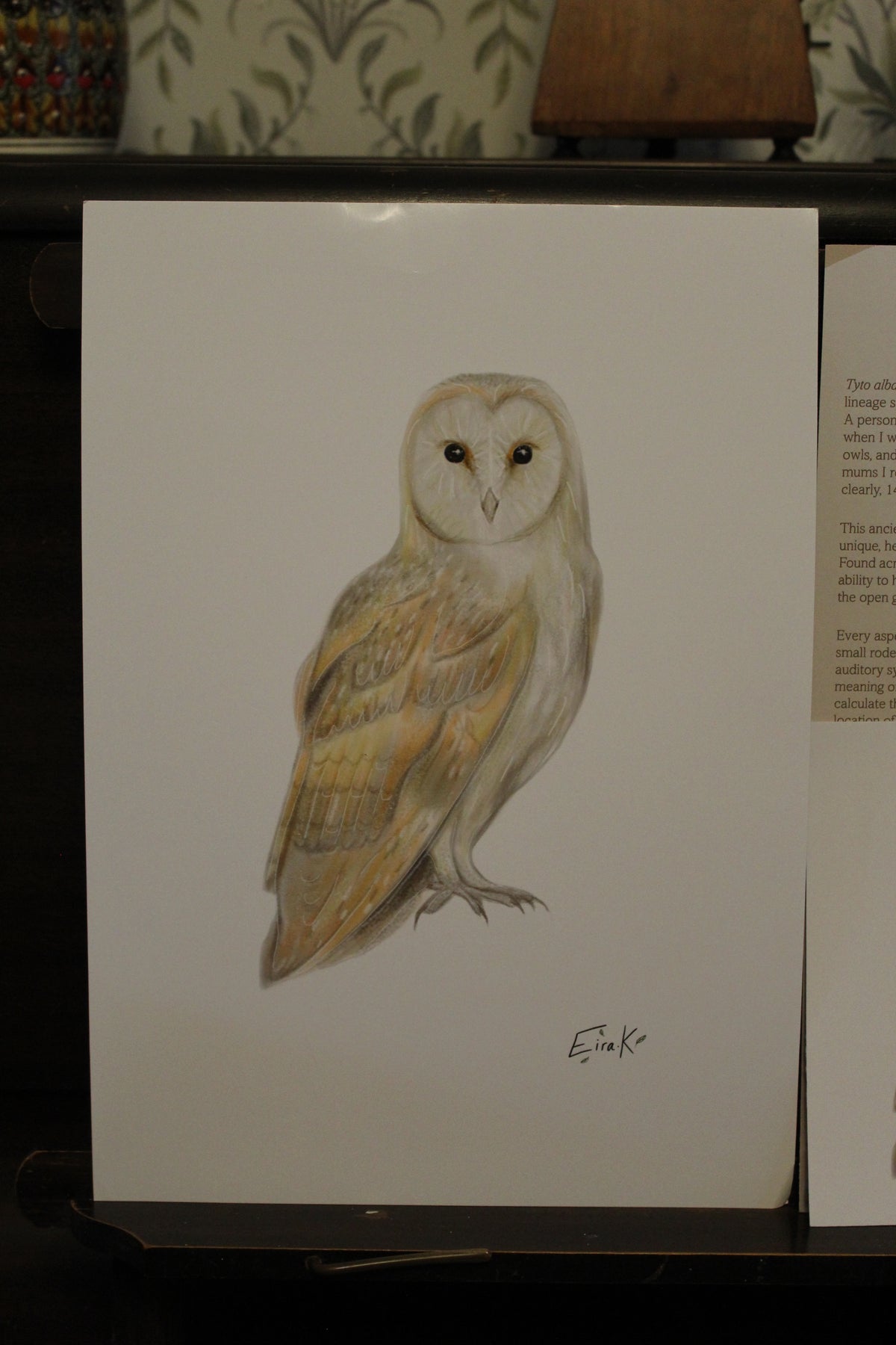 Barn Owl A4 Poster