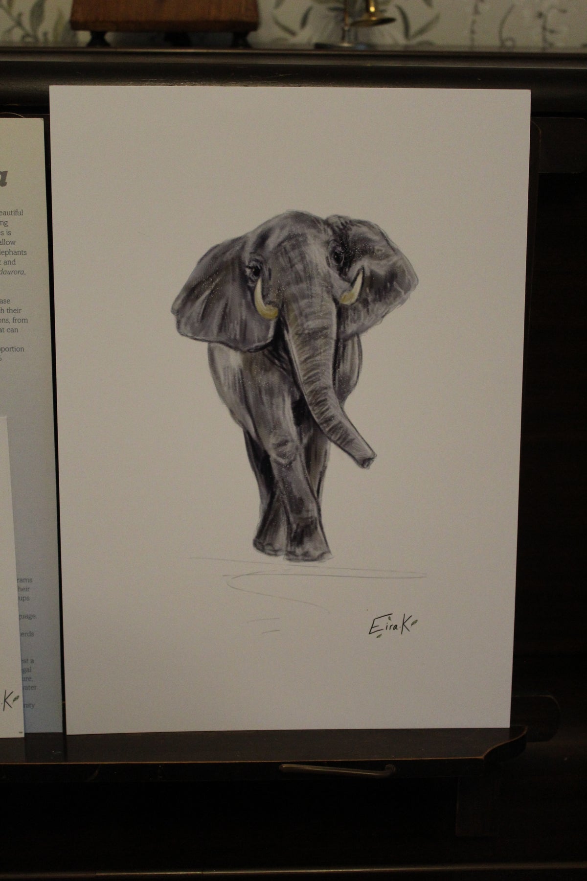African Elephant A4 Poster